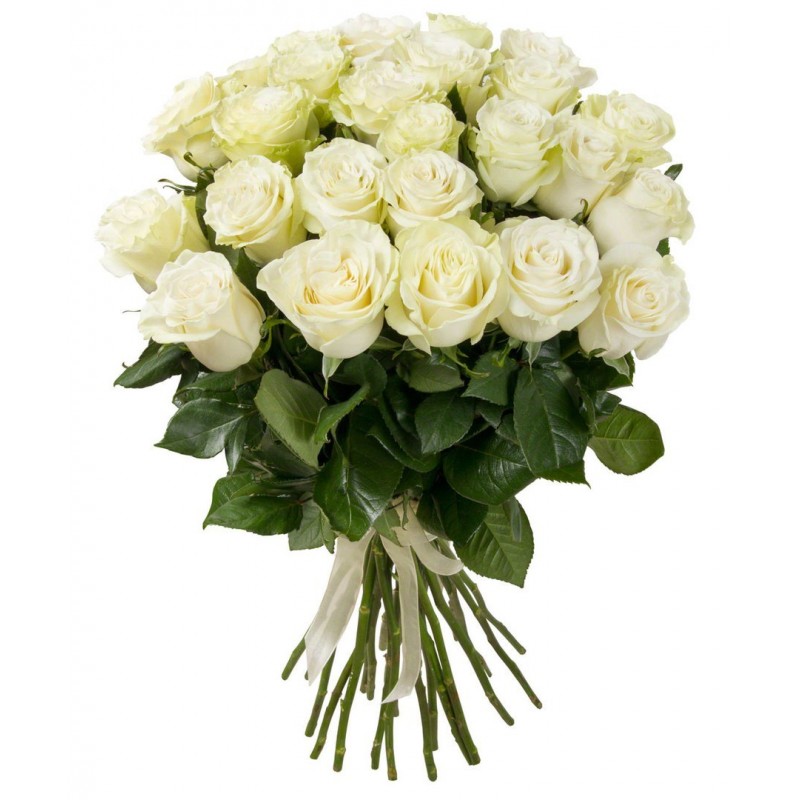 25 Trandafiri albi