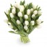 White Tulips
