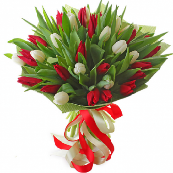 White-Red Tulips