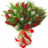 White-Red Tulips