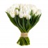 White Tulips