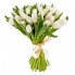 White Tulips