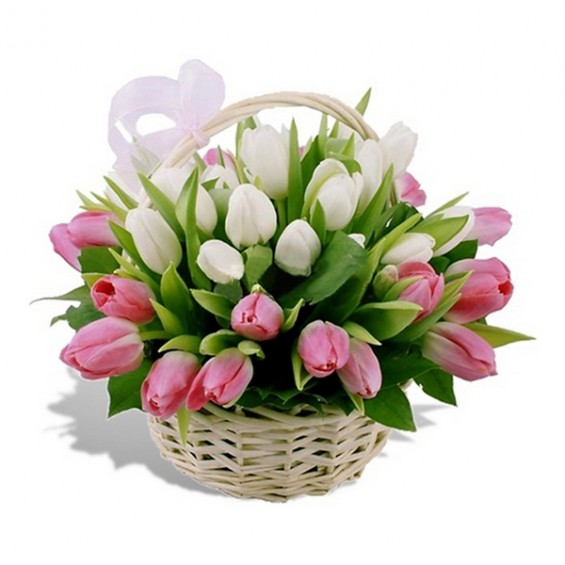 Basket with Tulips